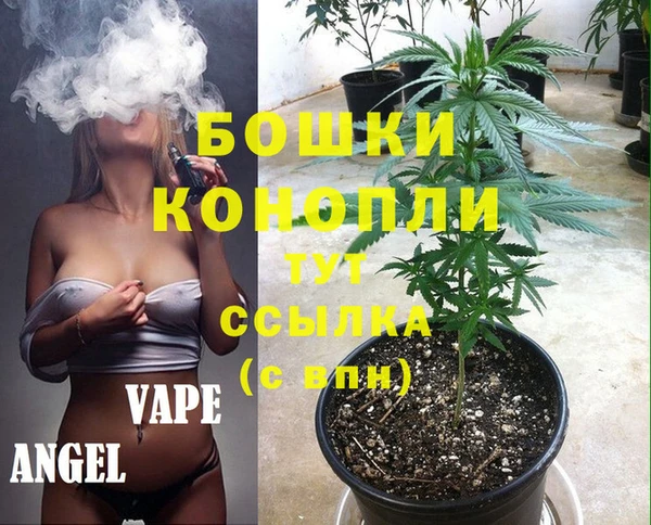 mdpv Кинешма
