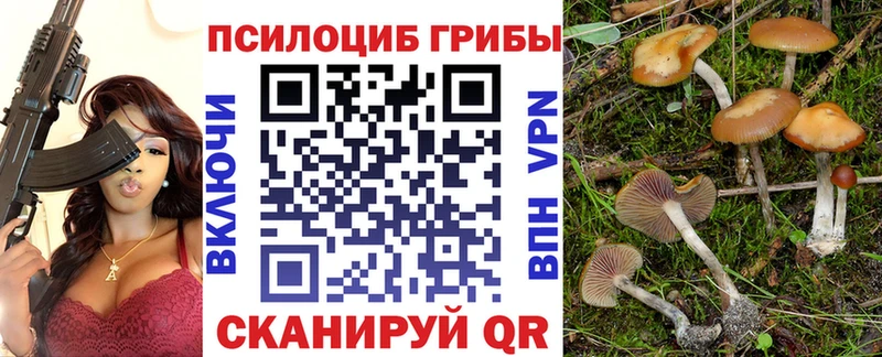 Псилоцибиновые грибы мицелий  Купить  Кубинка 